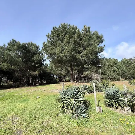 Résidence 058-vendays Montalivet - 058 - Petit Coin Paisible à Côté Des Pins Et à 200m De L'océan Mae-4871 Vendays-Montalivet