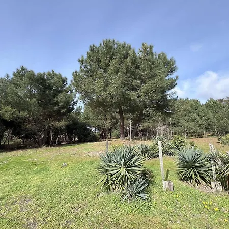 Villa Résidence 058-vendays Montalivet - 058 - Petit Coin Paisible à Côté Des Pins Et à 200m De L'océan Mae-4871 Vendays-Montalivet